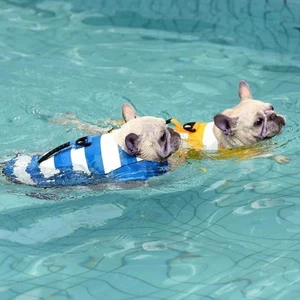 Superior Buoyancy Dog Life Jacket Pet Life Preserver Summer Swimming - Picture 1 of 17