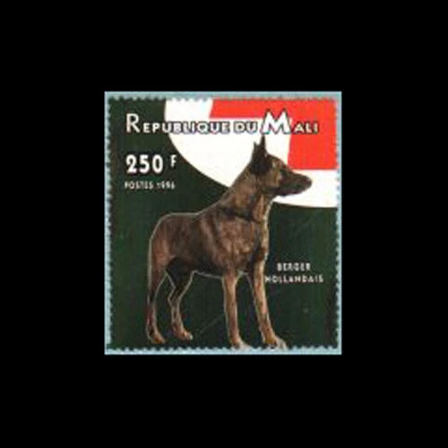 Malí, Sc #835c, MNH, 1996, perro, cruz roja Berger Hollandais Foto 1 de 1