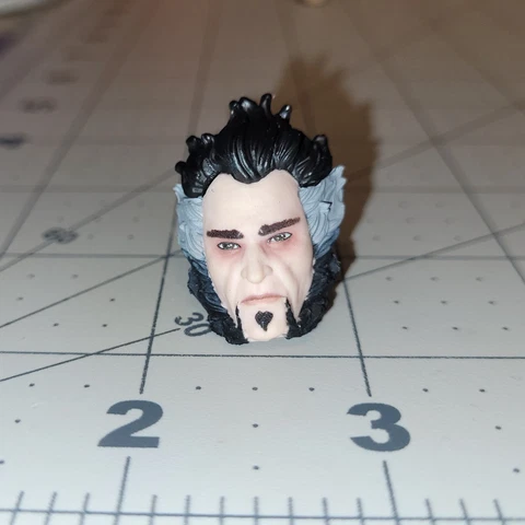 McFarlane DC Ra's Al Ghul Male Head Batman Arkham City 7" Custom Fodder Parts Cover