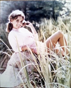 Dawn Wells as Mary Ann Classic TV Show Gilligan's Island Color Photo 8" x 10" - Picture 1 of 2