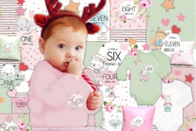 Jersey 12er Panel 120x150cm, Baby Monatspanel, Babyparty, Stoffe zum nähen Baby - Bild 1 von 4