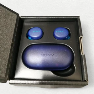 Sony WF-XB700 Wireless Stereo Earphone EXTRA BASS Bluetooth Canal Earbud - Bild 1 von 9