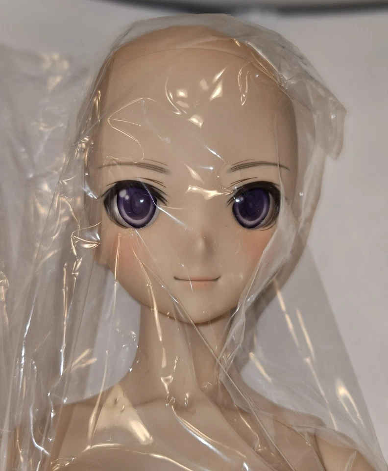 VOLKS Dollfie Dream Sister MELTY de Granite con Sorbete Corazones Brillantes Raro En Caja Original Foto 1 de 4