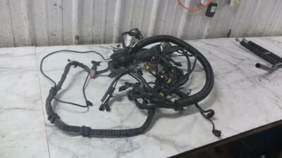 15 Harley Davidson FXDL Dyna Low Rider Wire Wiring Harness Loom - Image 1 of 4