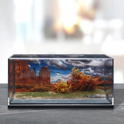 Scena di auto modello 1/64 con scatola di immagazzinaggio per modello di - Immagine 1 di 4