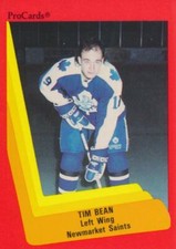1990-91 ProCards AHL/IHL #163 TIM BEAN - Newmarket Saints