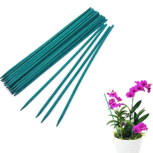 Garden Plant Stakes Green Bamboo Sticks Plant Support Stakes Wood Bamboo Garden - Picture 1 of 10