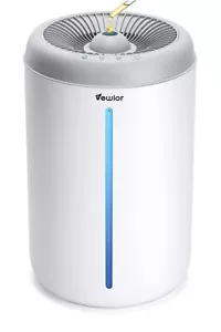 Humidifier and Diffuser 2 in 1 Function - Picture 1 of 5