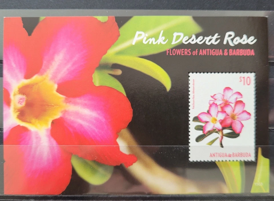 Antigua&Barbuda 2015 / Flowes of Antigua and Barbuda - Pink Desert Rose / 1v ms - Image 1 of 1