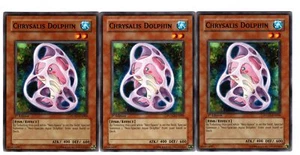 Yugioh- 3X Chrysalis Dolphin - Common - 1st Edition - POTD-EN006 - Near Mint - Picture 1 of 1