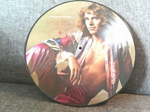 Peter Frampton-Rare DJ Picture Disc-I'm in You-NM - Picture 1 of 1