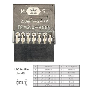 GIGABYTE GC-TPM2.0_S 2.0 TPM Module (12 Pin 12-1) LPC A1K3 2.0 Pla Trusted J6U4 - Zdjęcie 1 z 13