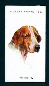 FOXHOUND PLAYERS 1929 ISSUE DOG HEADS SERIES OLD CIGARETTE CARD #14 - Bild 1 von 2