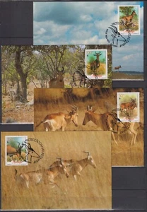 F2023   Mozambique  1991  - Maxicards - Dieren/Animals/Tiere - WWF - Imagen 1 de 1