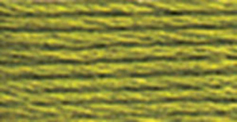 DMC Pearl Cotton Skein Size 5 27.3yd Moss Green - Image 1 of 1