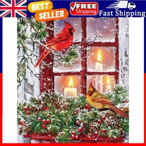 Birds by Christmas Window 5D DIY Diamond Painting Kits Full Round Drill Decor . - Picture 1 of 6