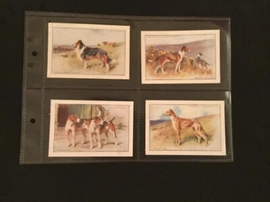 Dogs 1924 Original full set 12 Extra Large Cigarette Cards J Players Exc Cdn - Picture 1 of 6