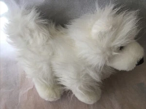 Webkinz Ganz Cheektowaga Samoyed Stuffed Animal Plush Clean HM176 - Picture 1 of 10