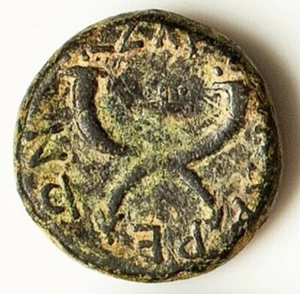 Moneda Antigua Romana Doble Cornucopia Bronce Judea Gadara Emperador Tito 73AD - Imagen 1 de 2