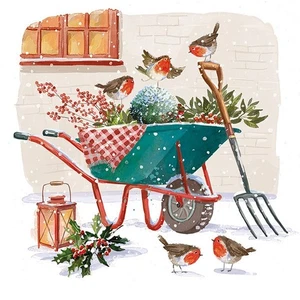 Charity Christmas Cards - In The Snowy Garden Twin Pack - 10 Cards (5 Of Each) - Picture 1 of 2