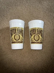 South Bend Silverhawks Souvenir Cup 10th Anniversary Concession Beer Glass MiLB - Picture 1 of 4