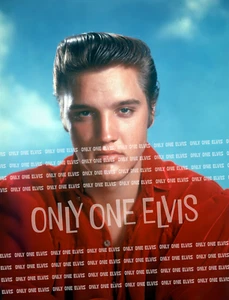 Elvis Presley 1956 (foto) pose de estudio alternativa 001 nuevo sin ver - Imagen 1 de 1