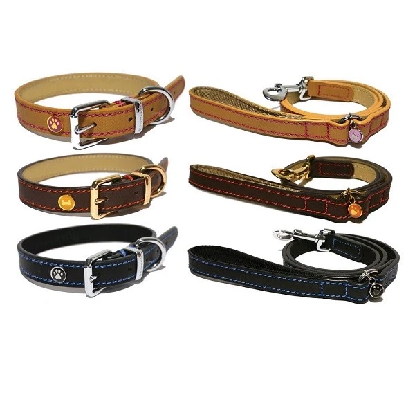 Rosewood Luxury Leather Dog Collar / Lead Puppy with Decorative Buttons & Charms - Image 1 of 4