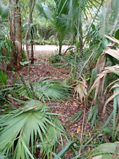 Seller FINANCING FLORIDA DEED! Citra FL With Utilities and Cement Pad! Overgrown