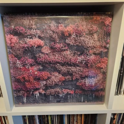 Жетон сна - даже в Аркадии виниловая пластинка «Стекло порта» револьвер LE/3000 розовый - Изображение 1 из 4