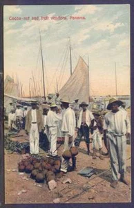 Panama Postcard Cocoa Nut & Fruit Sellers Port & Ships  - Picture 1 of 2