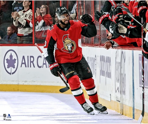 Anthony Duclair Ottawa Senators Unsigned Goal Celebration Photograph Cover