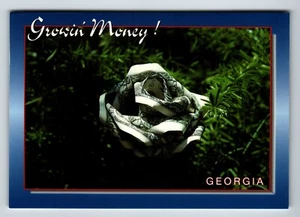 "Growing Money" postcard - Humor -by Gary Henderson -Georgia legend - Picture 1 of 2