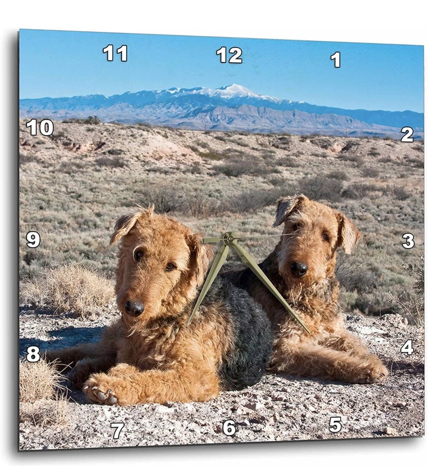*NEW Adorable Airedale Terrier Dogs 10”x10” Wall Clock Gift for Dog Lovers - Image 1 of 1