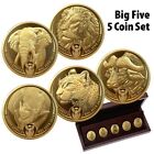 Goldmünzen Big Five I. Prestige-Satz - Südafrika - 5 Werte - 5 x 1 Oz PP