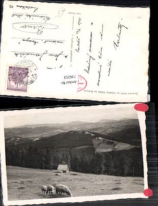 736213 Javornicky na Valassku Bezkydy Karpaten Neu Traubendorf - Picture 1 of 1