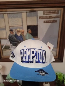 Vtg 90's Hampton Pirates College 3d Logo Wool Snap Back Hat Nos - Picture 1 of 7