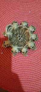  Totenkopf Ring Ornament  - Bild 1 von 4