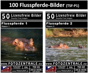100 Lizenzfreie Profi-Bilder/Fotos ! Flusspferde ! Photoshop Royalty Free DVD - Bild 1 von 3