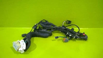 08 09 FORD TAURUS X PASAJERO PUERTA DELANTERA DERECHA ARNÉS DE CABLES OEM 2983-50 Foto 1 de 2