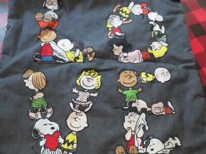 Pottery Barn  Snoopy Peanuts Love Pillow Cover valentine NWT - Picture 1 of 9