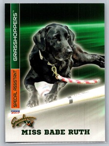 Miss Babe Ruth MiLB 2017 32 Trenton Thunder  Bat Dog