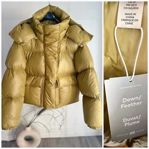 H&M Premium Yellow-Beige Hooded Down Short Filled Jacket NWT XS M - Picture 1 of 2
