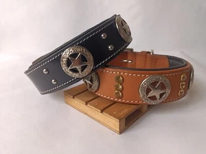 Shwaan studded with star and crystals Premium Leather Dog Collar Christmas day - Picture 1 of 25