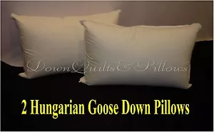 2 STANDARD SIZE PILLOWS SOFT - 95% HUNGARIAN GOOSE DOWN - EUROPEAN QUALITY - Picture 1 of 2