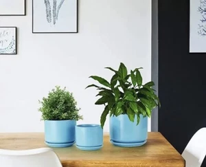 Ceramic Flower Succulent Planter Pots w/ Attached Saucer, Set of 3, Blue - Picture 1 of 10