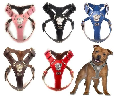 Staffy Leather Harness with Staffordshire Bull Terrier Head Motif & Knot - Image 1 of 4