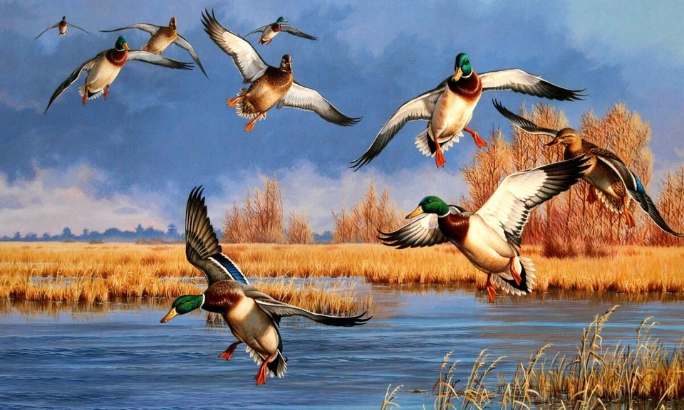 Ceramic Backsplash Tile Mural Waterfowl Kitchen/Bathroom - Down From The North - Image 1 of 1