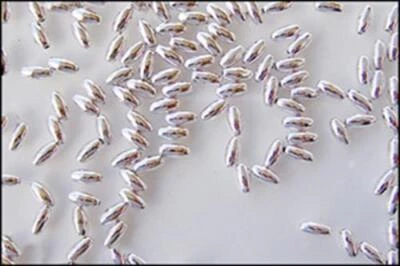 RAYHER HOBBY GMBH Plastik Oliven 6x3mm ca 105 Stück SILBER