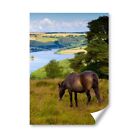 A2 - Wimbleball Lake Exmoor Pony Poster 42X59.4cm280gsm #3263