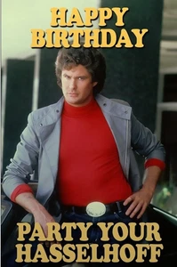 Imán de nevera de metal de alta calidad para cumpleaños David Hasselhoff 3x4 1107 - Imagen 1 de 5